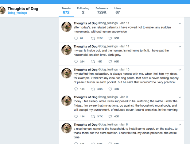 Screen Shot 2018-02-01 at 4.34.24 PM